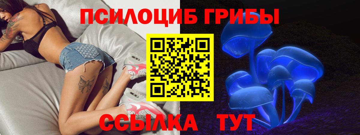 Галлюциногенные грибы Magic Shrooms  Псилоцибиновые грибы ЛСД  как найти закладки  Вход с VPN  Чапаевск 